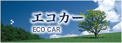 �G�R�J�[